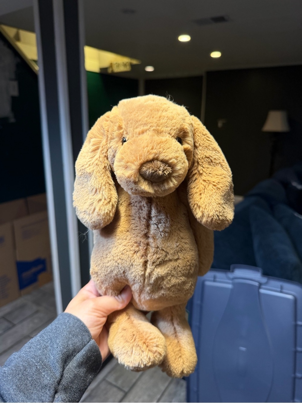 BNWT Toffee Puppy Jellycat